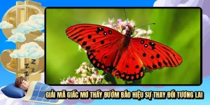 Giải Mã Giấc Mơ Thấy Bướm - Bộ Số Đẹp Tài Lộc